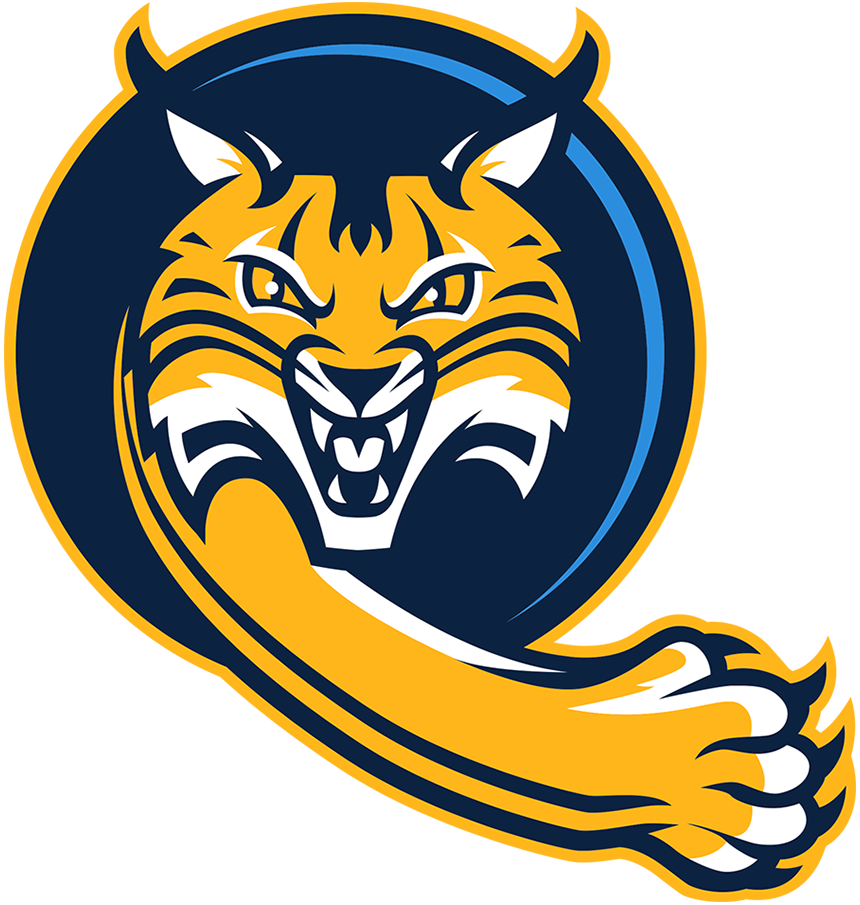 Quinnipiac Bobcats 2019-Pres Alternate Logo v4 iron on transfers for clothing